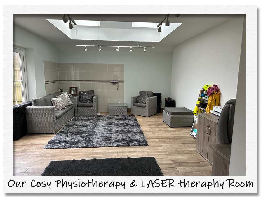 Theale Reception - Physio room